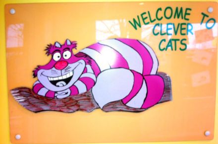 Clever Cats